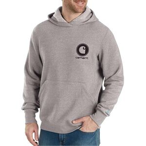 Carhartt Force Delmont Graphic Hooded Sweatshirt in Gray
